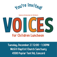 2025 Voices for Children Luncheon